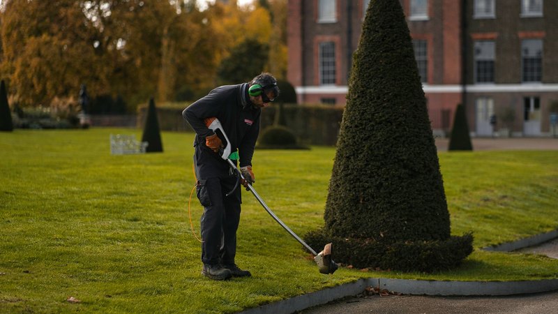 Gartenpflege: Rasen- und Heckenschnitt bei einem Wohngebäude