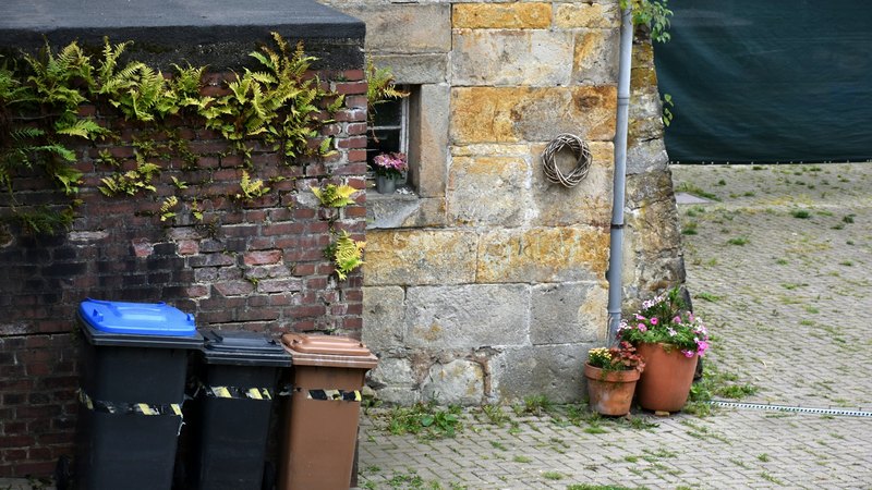 Mülltonnen an einem gepflegten Müllplatz